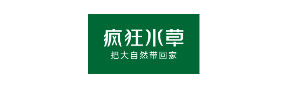 灯鱼图典电子版_灯鱼照片ps_灯鱼图片大全大图