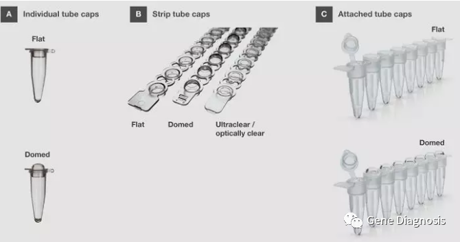 联盖是用于密封联管和96孔板最常见的PCR / qPCR管盖形式