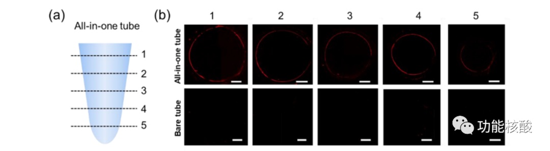 pcr管是什么Younseong Song：实时检测传染病原体的一体式DNA提取管_https://www.jmylbn.com_新闻资讯_第3张