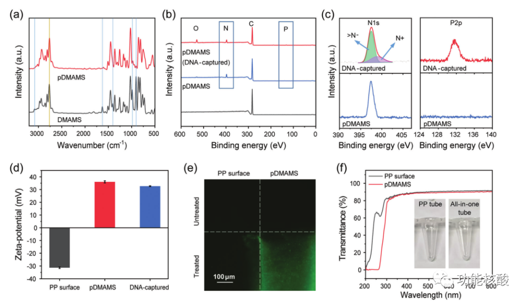pcr管是什么Younseong Song：实时检测传染病原体的一体式DNA提取管_https://www.jmylbn.com_新闻资讯_第4张