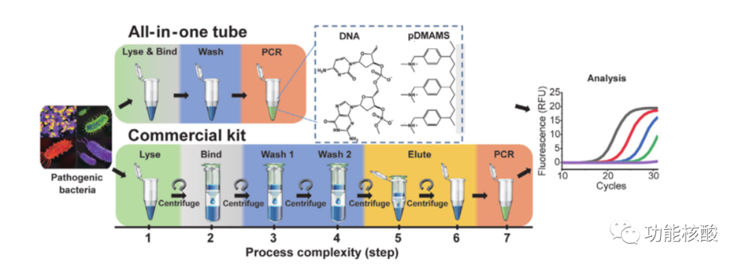 pcr管是什么Younseong Song：实时检测传染病原体的一体式DNA提取管_https://www.jmylbn.com_新闻资讯_第2张