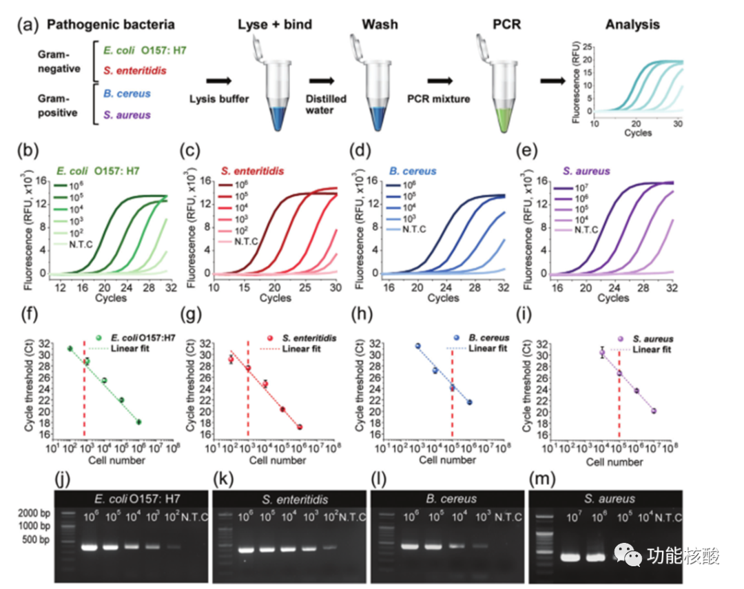 pcr管是什么Younseong Song：实时检测传染病原体的一体式DNA提取管_https://www.jmylbn.com_新闻资讯_第6张