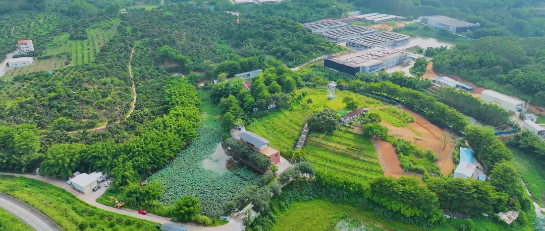 广州增城11个重点项目，进展曝光！涉旧改、交通……