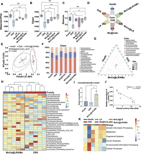 靶向Mn@CeO?納米酶修飾的益生菌水凝膠微球重塑炎癥性腸病中的腸道穩態