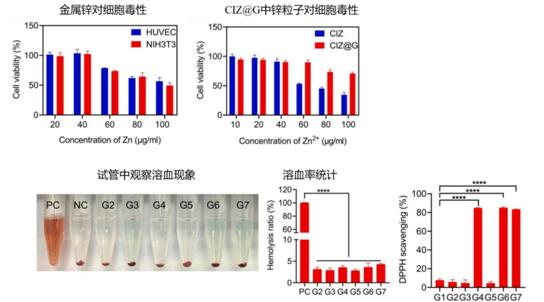 IF12.5 一区：抗菌+促血管生成：壳聚糖水凝胶为糖尿病足治疗注入新希望