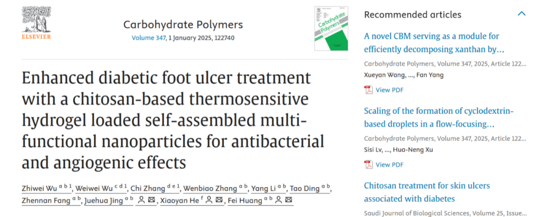 IF12.5 一区：抗菌+促血管生成：壳聚糖水凝胶为糖尿病足治疗注入新希望