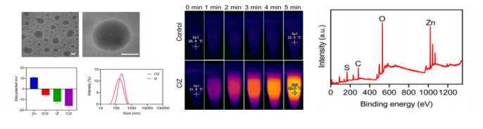 IF12.5 一区：抗菌+促血管生成：壳聚糖水凝胶为糖尿病足治疗注入新希望