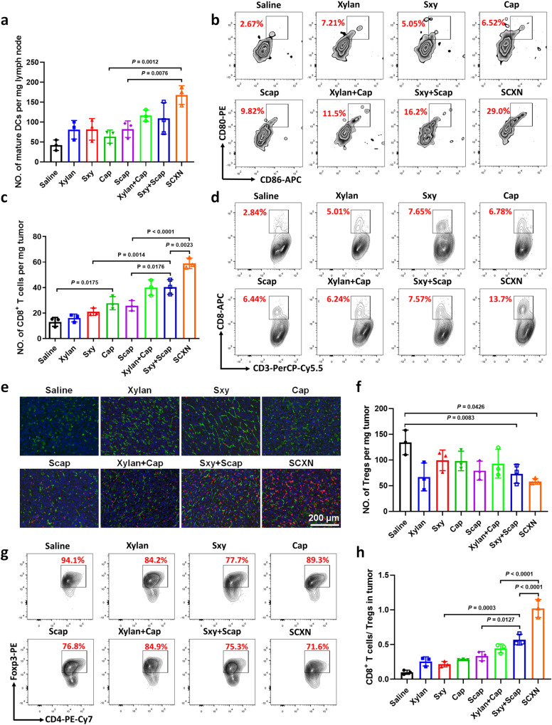 SCXN纳米颗粒：肠道菌群调节与化疗联合治疗结直肠癌的创新策略