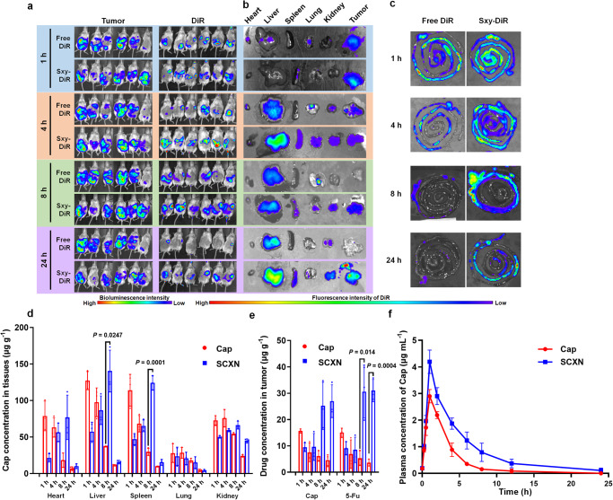 SCXN纳米颗粒：肠道菌群调节与化疗联合治疗结直肠癌的创新策略