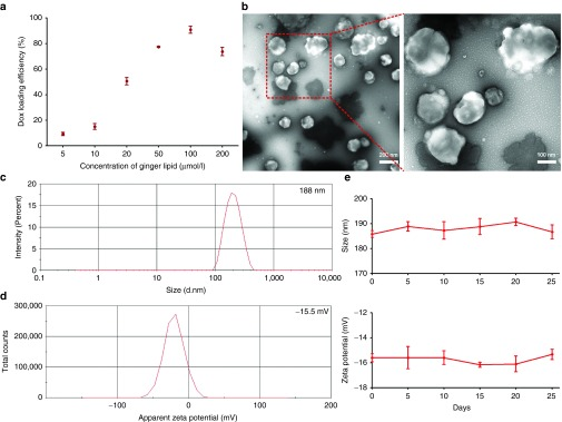 基于生姜衍生脂質納米載體（GDNVs）的阿霉素遞送系統：新型結腸癌治療策略