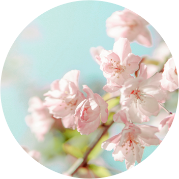 西安｜萨提亚转化式系统治疗专业课LevelII