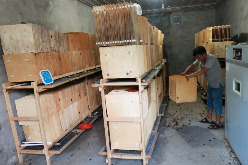 女留学生靠“恶心”震撼全球！澳洲留学后回中国，竟建了个“可怕”工厂，看完头皮发麻… - 3