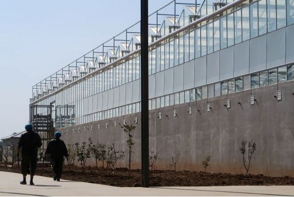 女留学生靠“恶心”震撼全球！澳洲留学后回中国，竟建了个“可怕”工厂，看完头皮发麻… - 11