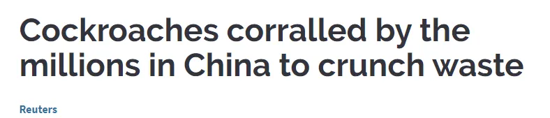 女留学生靠“恶心”震撼全球！澳洲留学后回中国，竟建了个“可怕”工厂，看完头皮发麻… - 4