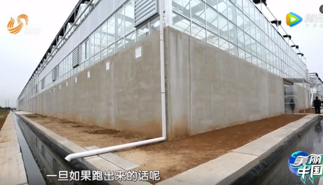 女留学生靠“恶心”震撼全球！澳洲留学后回中国，竟建了个“可怕”工厂，看完头皮发麻… - 15