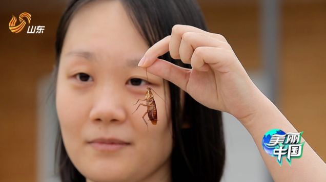 女留学生靠“恶心”震撼全球！澳洲留学后回中国，竟建了个“可怕”工厂，看完头皮发麻… - 9