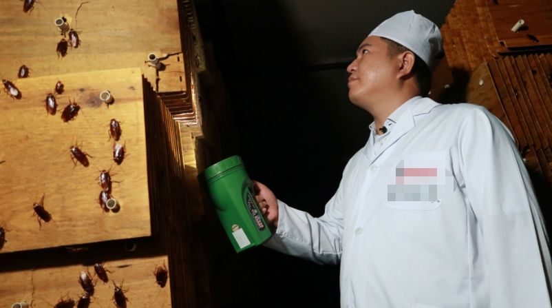 女留学生靠“恶心”震撼全球！澳洲留学后回中国，竟建了个“可怕”工厂，看完头皮发麻… - 7