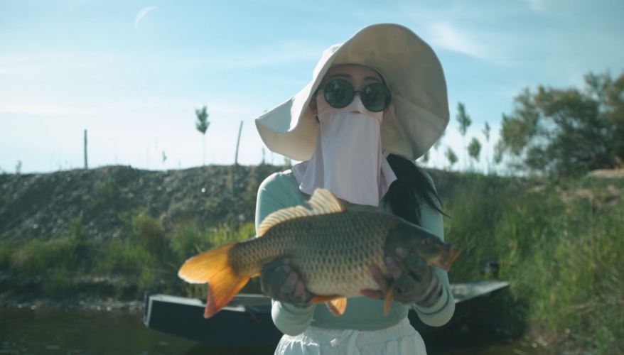 光威鱼竿若萱钓鱼一举擒获大金鲤星朔5h显神威