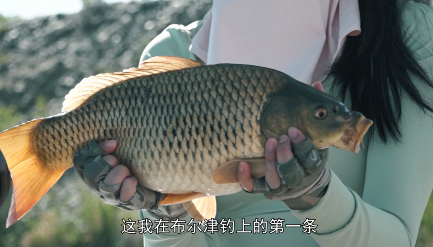 光威鱼竿若萱钓鱼一举擒获大金鲤星朔5h显神威