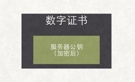 最深刻最通俗的 HTTPS 原理详解，图文并茂