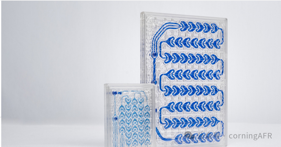 康宁欧洲专家亲授：让创新在流动中发生