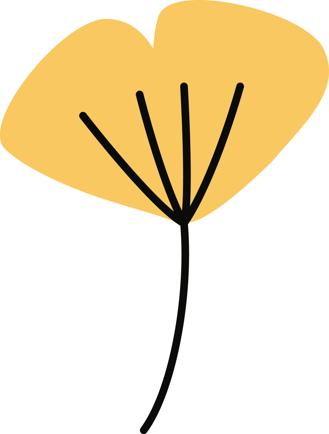 中科院招生简章2022_中科院大学招生办_中科院大学招生信息网