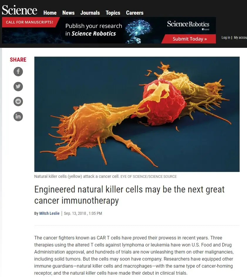 CAR-NK：癌癥免疫療法“新星”冉冉升起