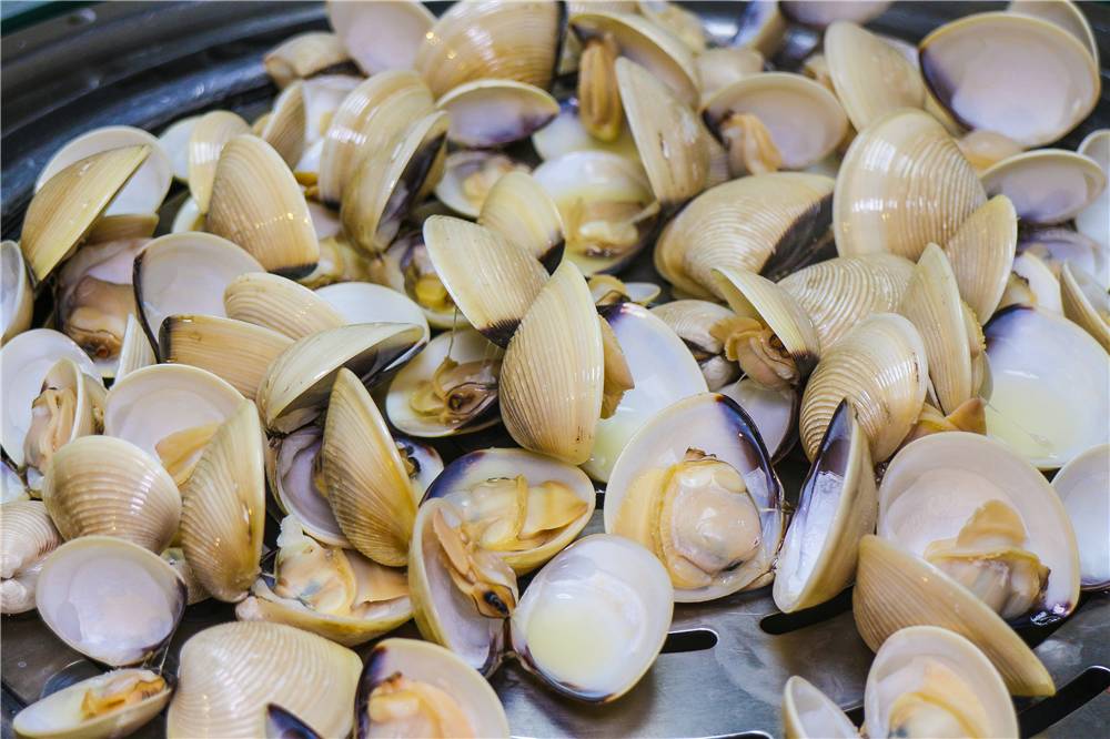 白贝,野生小沙虾,鲍鱼,龙趸,三文鱼2吃.