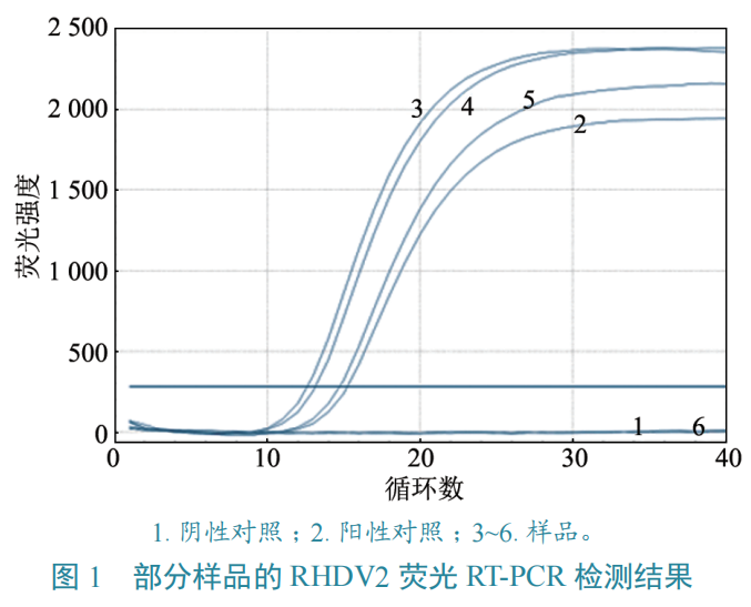 中国动物卫生与流行病学中心