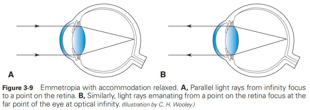 什么是对比敏感度【AI教科书】125期：人眼光学——对比敏感度和对比敏感度函数、眼的屈光状态、双眼视_https://www.jmylbn.com_新闻资讯_第4张