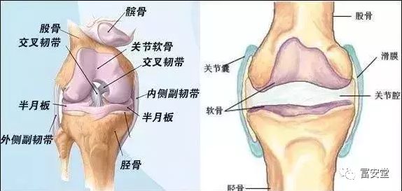 滑膜炎到底能不能治愈，会自己好吗？