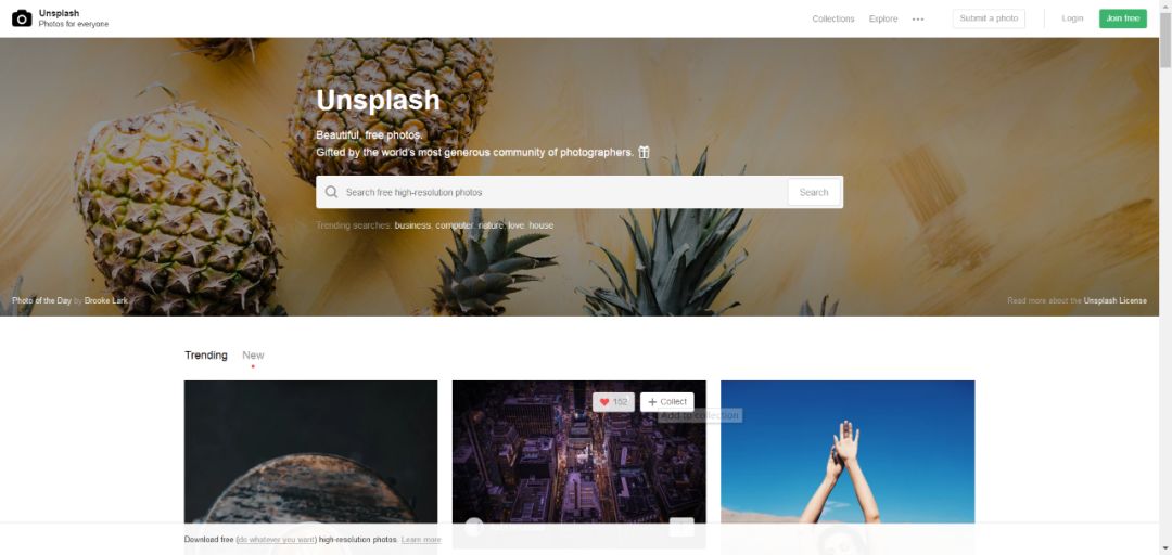 照片搜索 关于图片搜索，只看这几个网站就够了