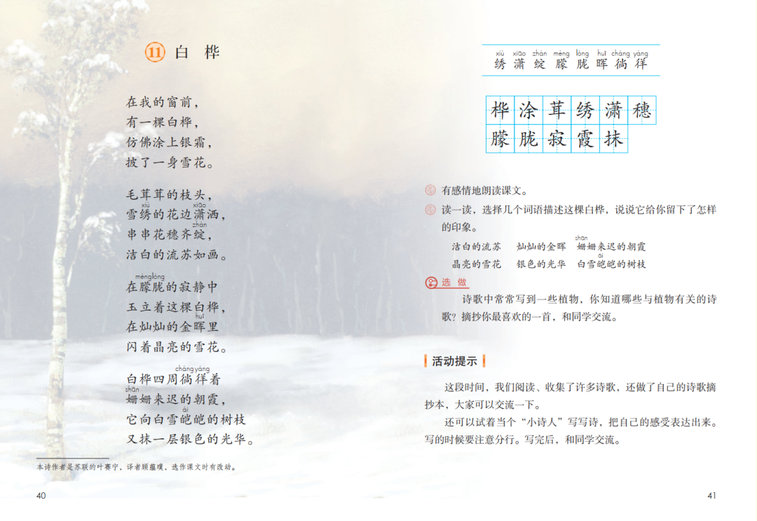 白桦仿写 《白桦》文本解读