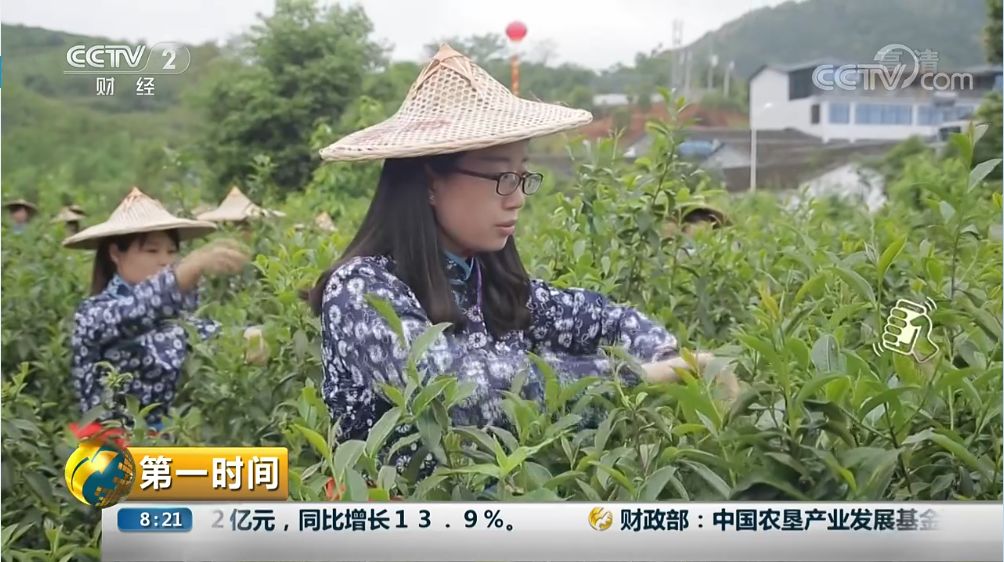 走，瞧瞧去......CCTV2《第一时间》栏目，报道安溪县