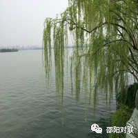 [邵阳对联]第四期成联作品：咏柳