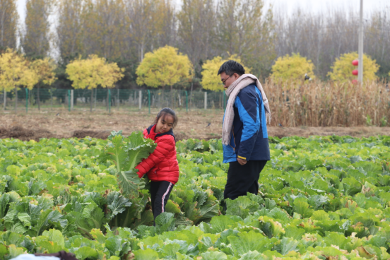 审定-2月9日发 欢乐过大年-年货-蔬菜(5)626.png