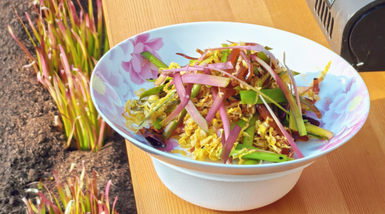 审定-2月9日发 欢乐过大年-年货-蔬菜(5)911.png