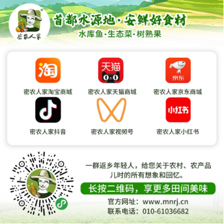 审定-2月9日发 欢乐过大年-年货-蔬菜(5)671.png