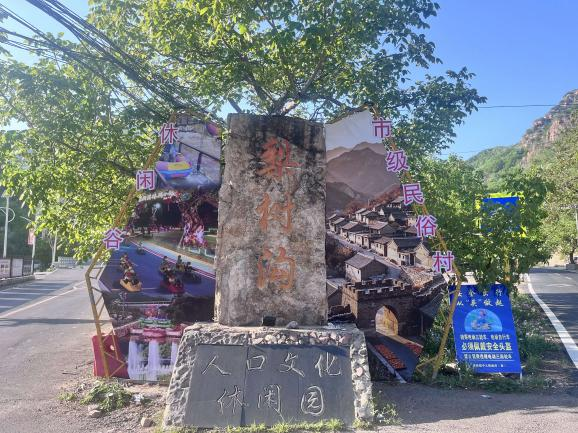梨树沟村村口.png