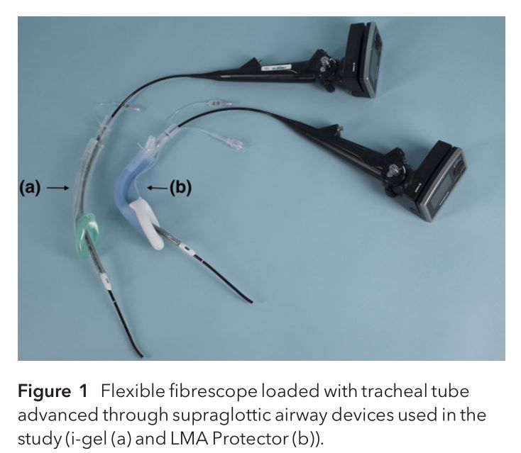 ambu喉罩怎么读LMA® ProtectorTM和i-gel®，哪种喉罩更适合纤支镜引导下气管插管？_https://www.jmylbn.com_新闻资讯_第5张