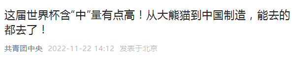 世界杯赞助，被这个公司玩明白了（图） - 2