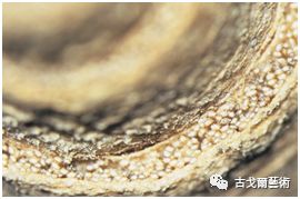 x光材质怎么调通过X光扫描日本正仓院唐代毛笔，发现惊天制笔秘密....._https://www.jmylbn.com_新闻资讯_第53张