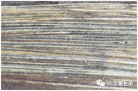 x光材质怎么调通过X光扫描日本正仓院唐代毛笔，发现惊天制笔秘密....._https://www.jmylbn.com_新闻资讯_第39张