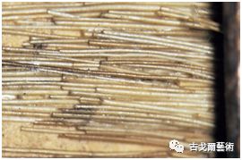 x光材质怎么调失传之笔是怎样制成的？ 通过X光照射发现惊天秘密！或许破解书法与制笔之间关系？_https://www.jmylbn.com_新闻资讯_第57张