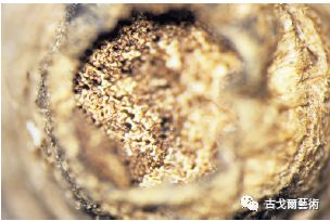 x光材质怎么调通过X光扫描日本正仓院唐代毛笔，发现惊天制笔秘密....._https://www.jmylbn.com_新闻资讯_第15张