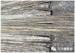 x光材质怎么调通过X光扫描日本正仓院唐代毛笔，发现惊天制笔秘密....._https://www.jmylbn.com_新闻资讯_第33张