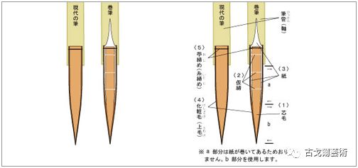 x光材质怎么调通过X光扫描日本正仓院唐代毛笔，发现惊天制笔秘密....._https://www.jmylbn.com_新闻资讯_第62张