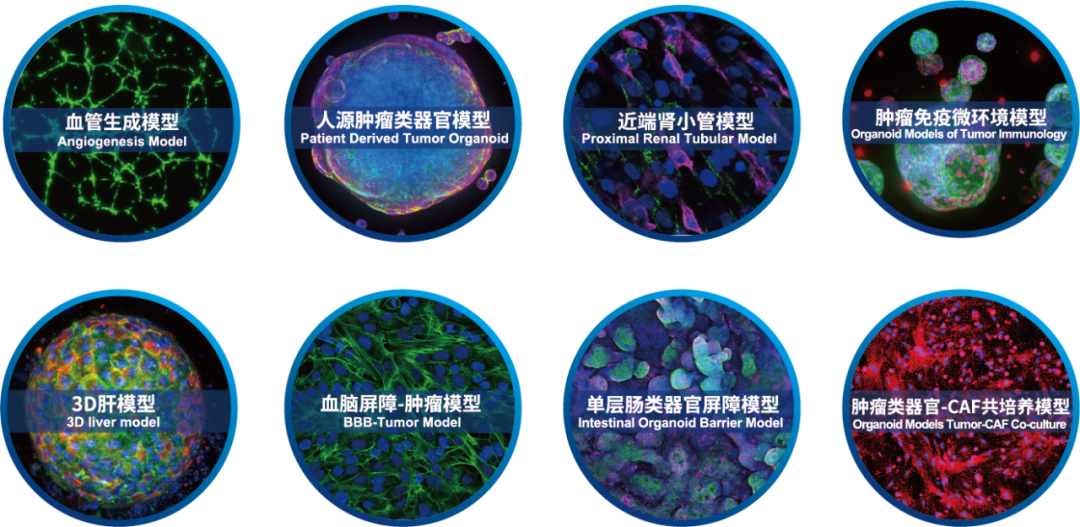 全球科技行业_科技全球行业排行榜_科技全球行业排行