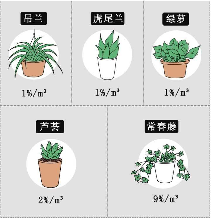 在 (較高甲醛濃度的) 實驗條件下,一盆綠蘿在12小時裡吸收了1.