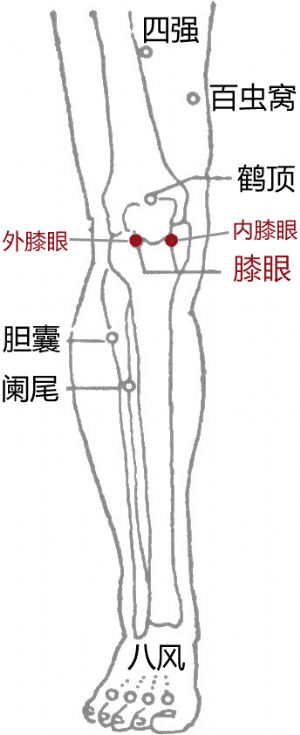 双膝眼及鹤顶穴 治疗膝盖关节炎 犊鼻穴很少下针 Xin生活广场 微信公众号文章阅读 Wemp